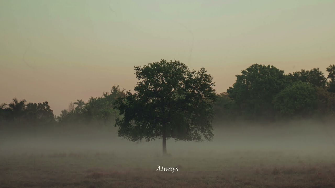 sød ven - carry me home (reimagined)