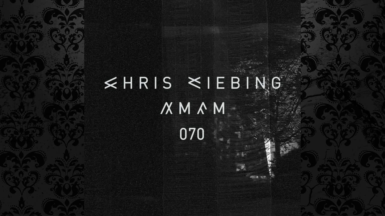 Collabs 3000 (Chris Liebing & Speedy J) - AM/FM 070 (11 July 2016) Live @ Weather Festival, Paris 4