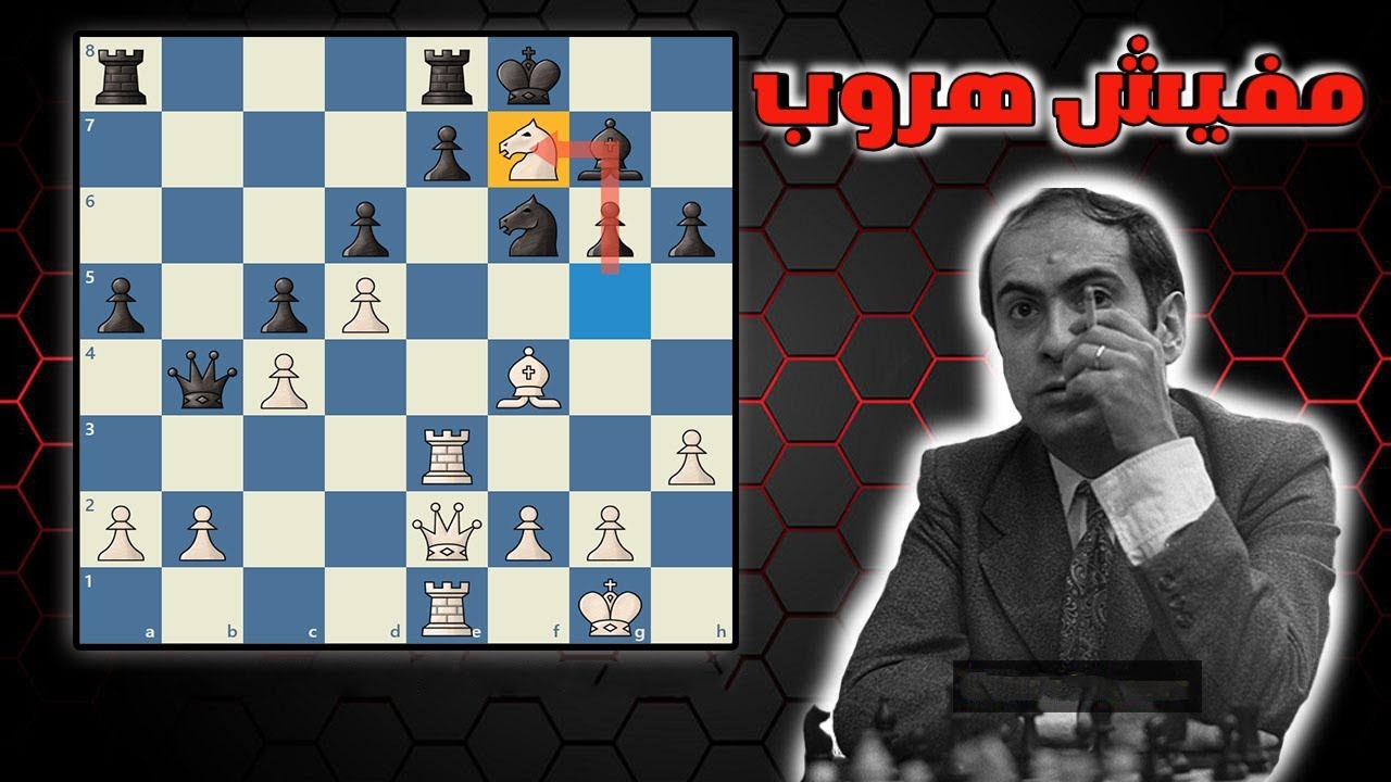 تضحيات مجنونه😱😱 من ملك التضحيات تال