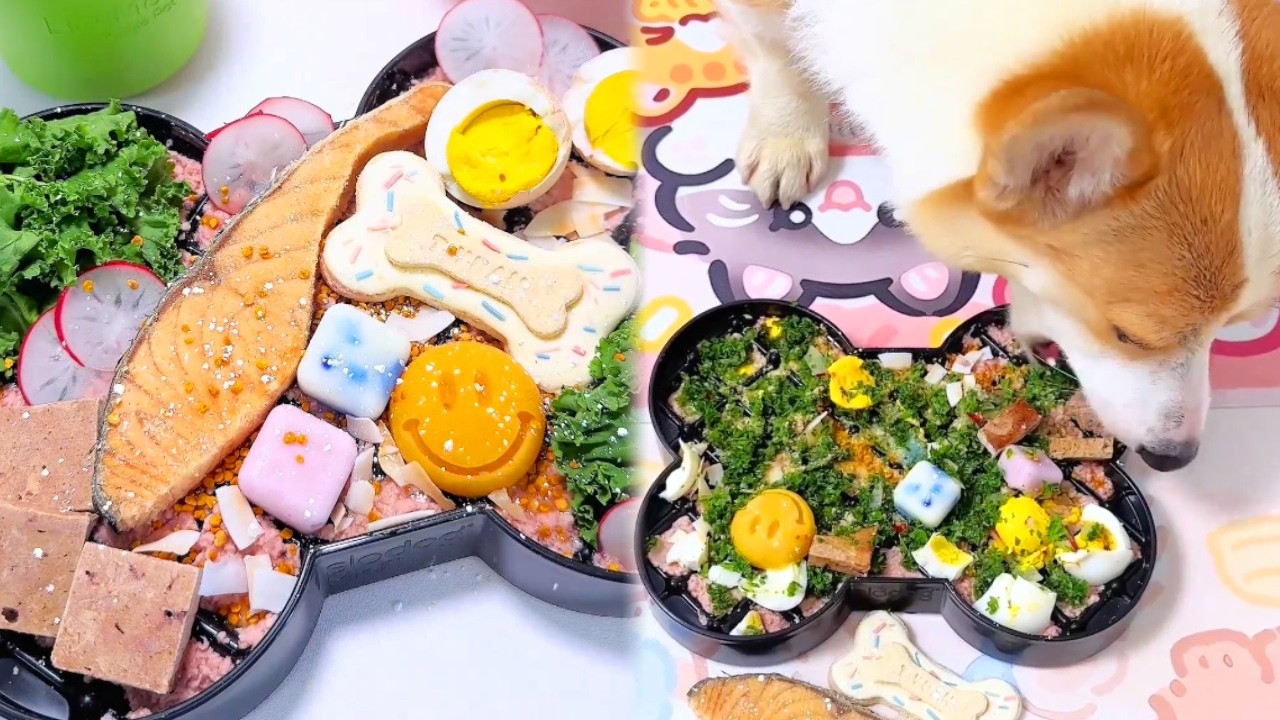 奶香浓郁😍一口惊艳的奶油丝滑腻子！ #asmr#狗狗吃饭#狗狗配餐#解压声控#酸奶碗