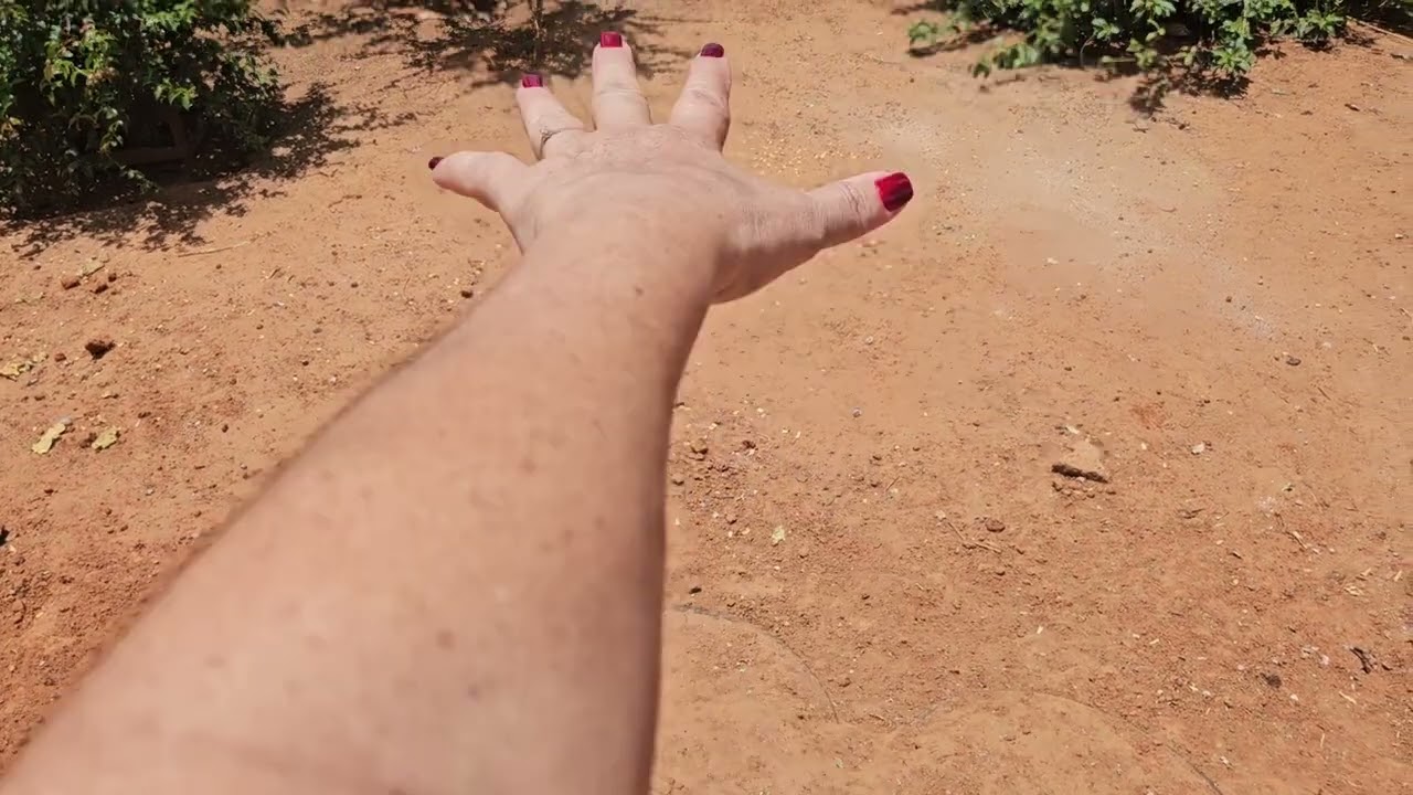 Um pouquinho da evolução da nossa obra 10/01/26