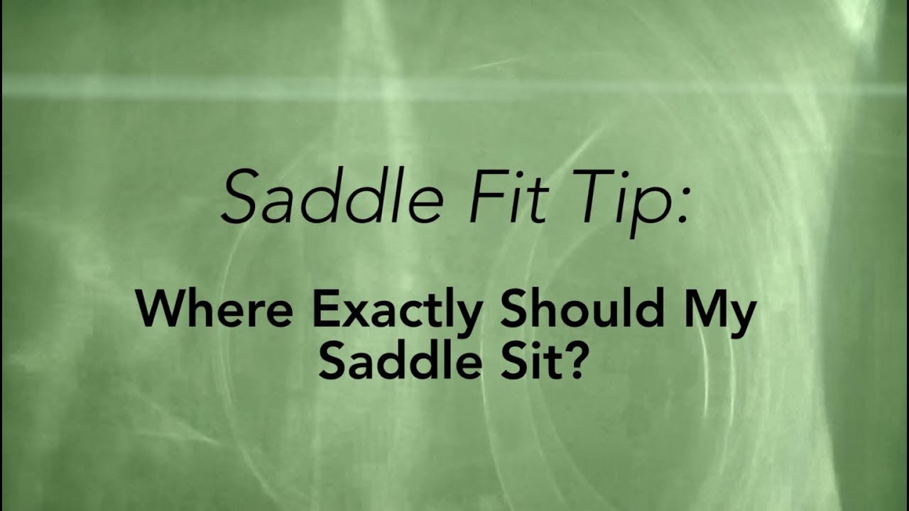 Where Should My Saddle Sit? Fit Tip Courtesy of SaddleFit 4 Life