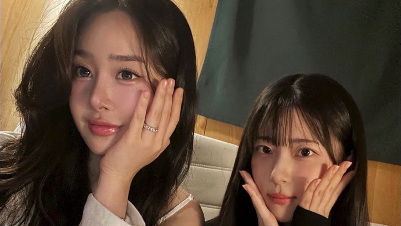 다교자민 라이브 