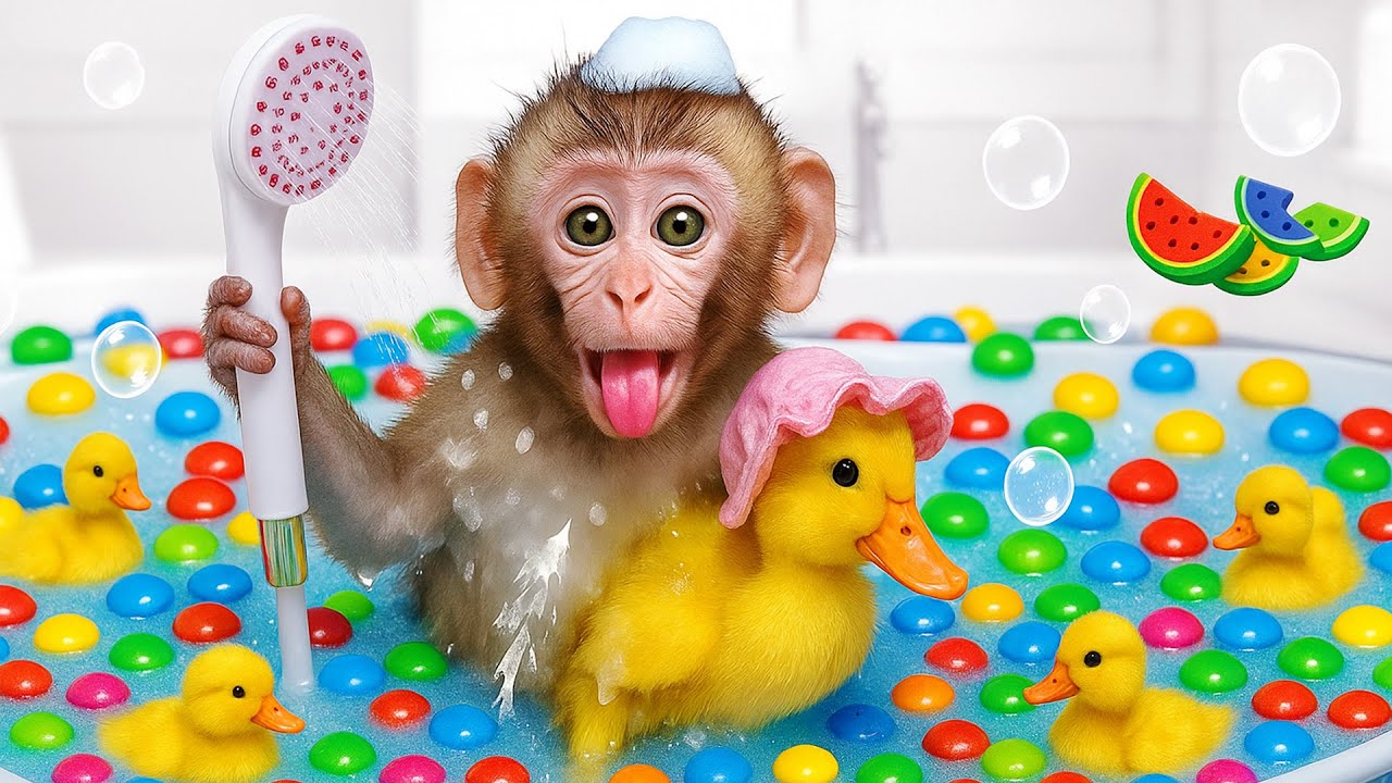 Bubu Monkey swim at Color Ball Pit Balls Pool and meet Shark Toys so Surprise