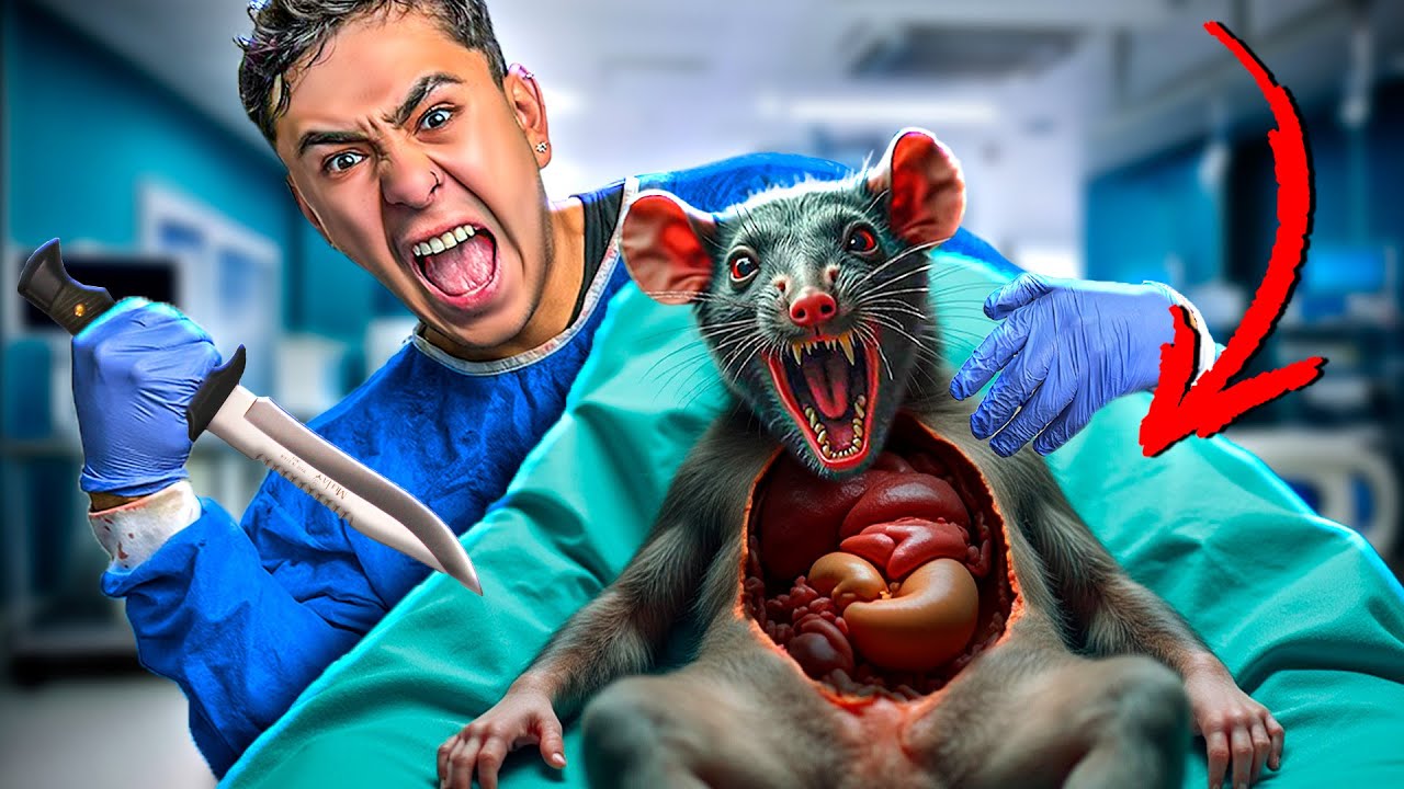 Le ABRIMOS el ESTOMAGO al HOMBRE RATA !
