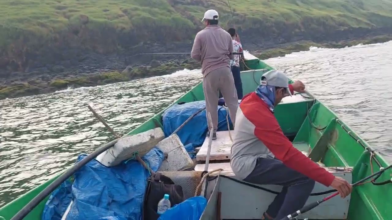 होडीमधून भेटल्या खूप साऱ्या कोकऱ्या कोकऱ्या 🎣🌊🐠 #fishing #ratnagiri fishing 