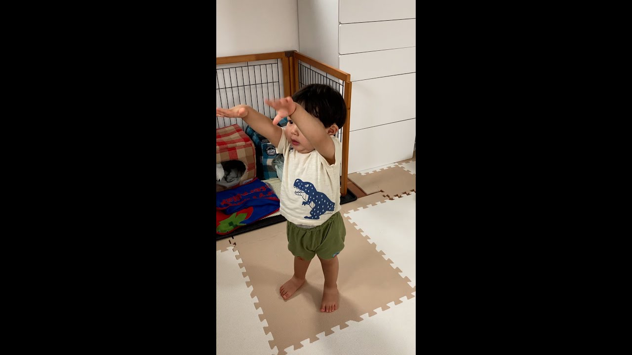 1歳半のニャンちゅうガチ勢の行動/Baby saying bye bye to his friends in the TV