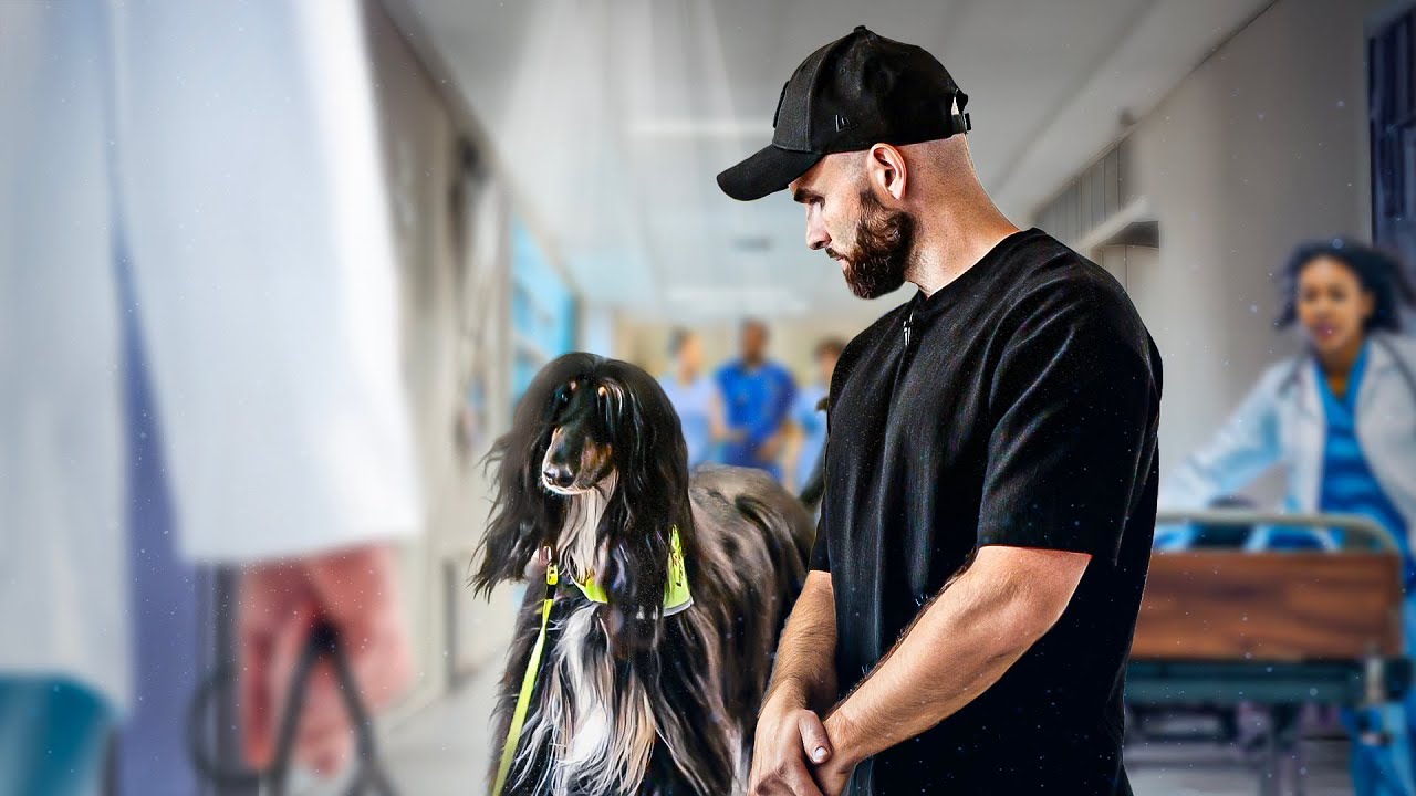 Ce que ce chien leur donne… Ça n’a pas de prix !