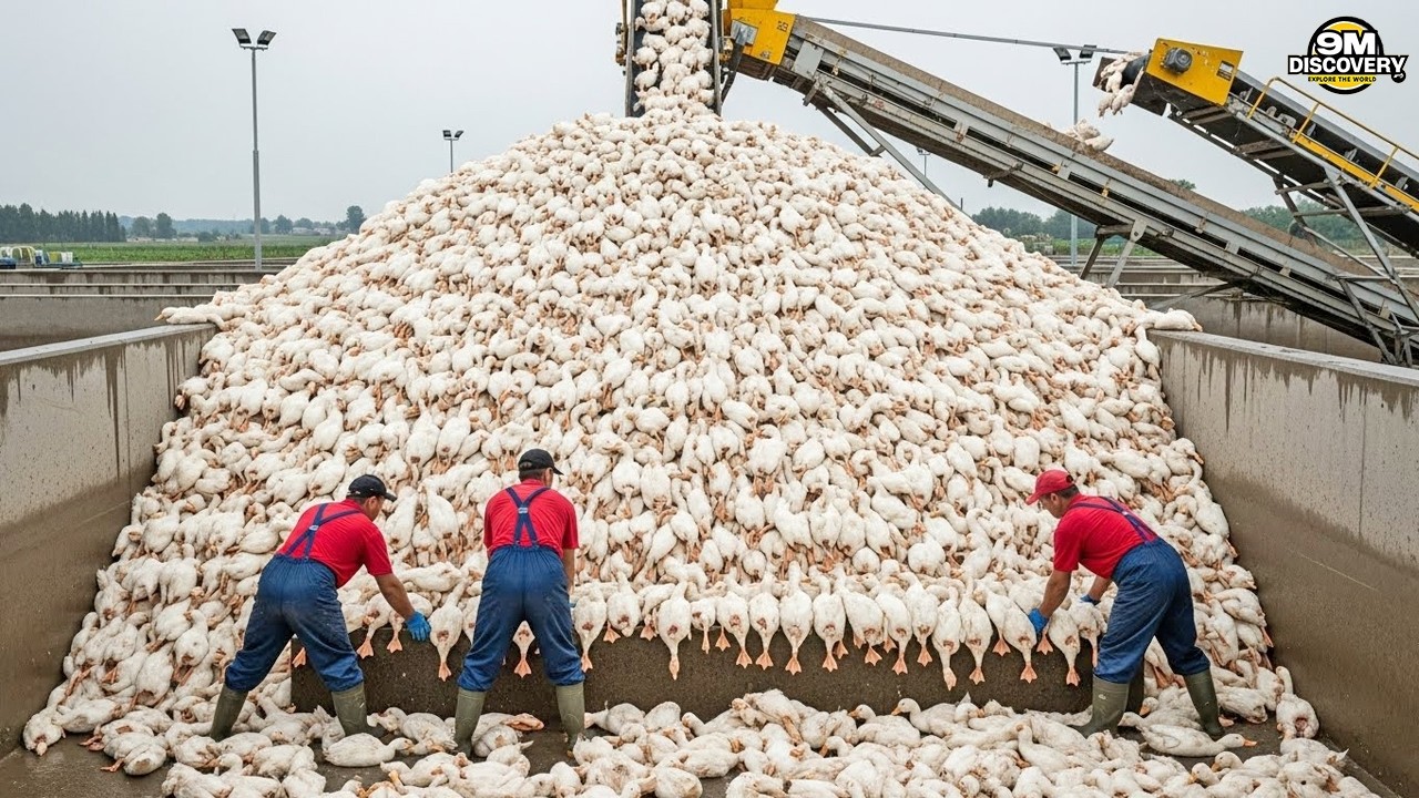 10 Strange Things That Only Exist in China&mdash;Even Americans Can&rsquo;t Believe This