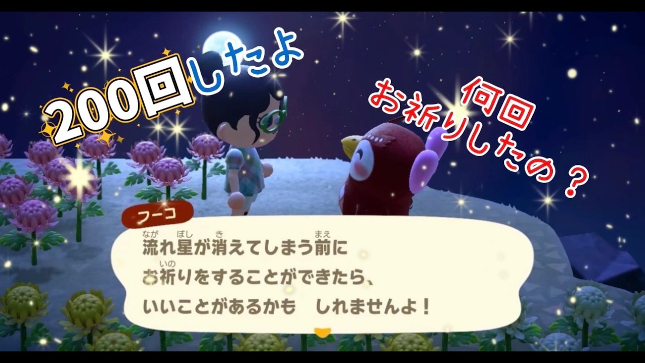 【あつ森】昨日流星群だったから２００回お祈りしたら奇跡起きた