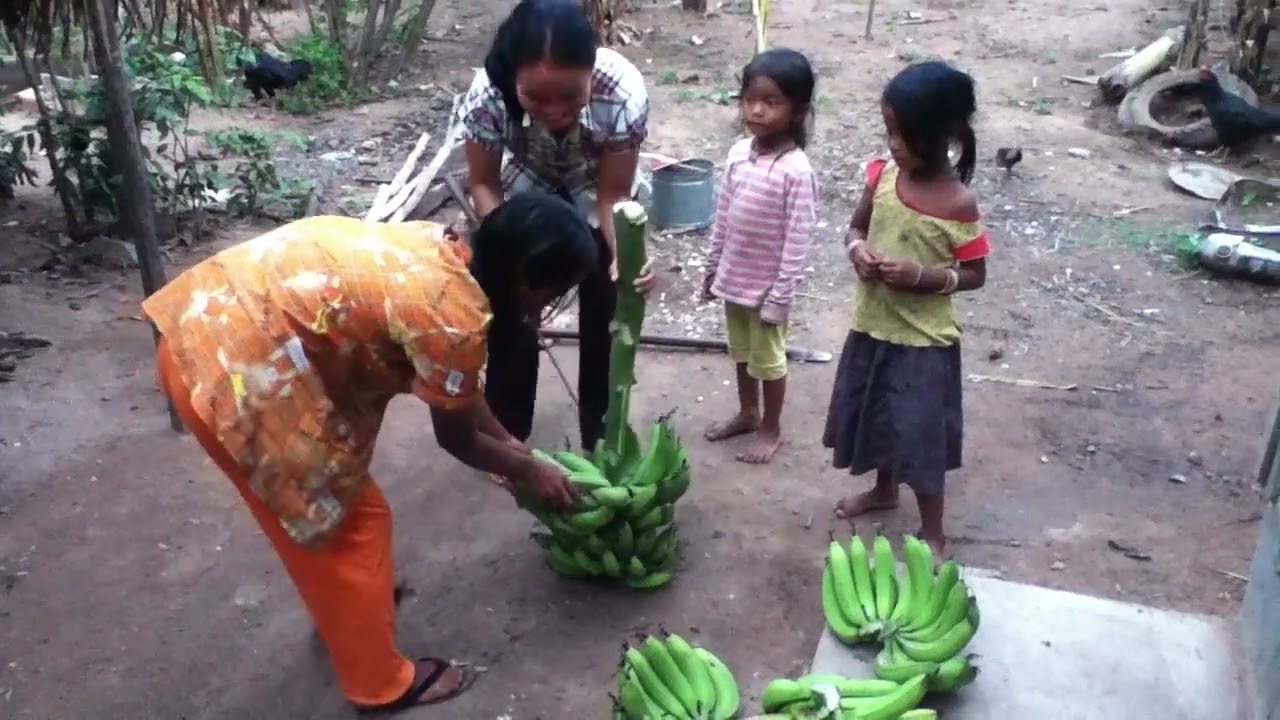 Visiting Chambork Ecotourism Site In Rural Cambodia (Archive Travel Video from 2012).