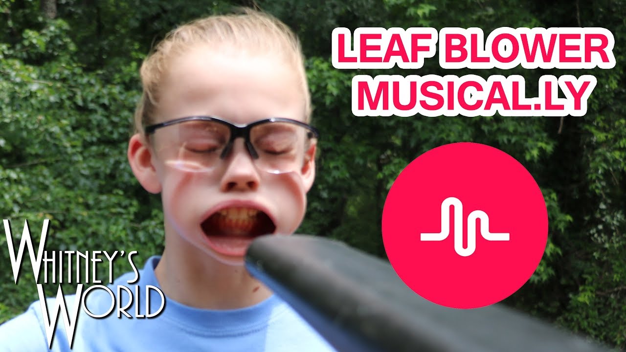 Leaf Blower Musical.ly | Whitney Bjerken