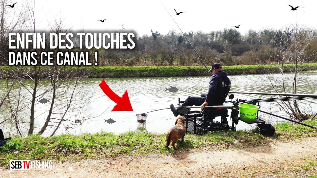La saison de p&ecirc;che d&eacute;marre enfin ! p&ecirc;che en canal.