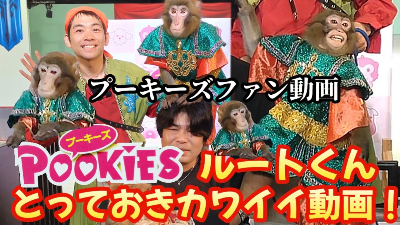 プーキーズ ルートくん とっておきカワイイ動画