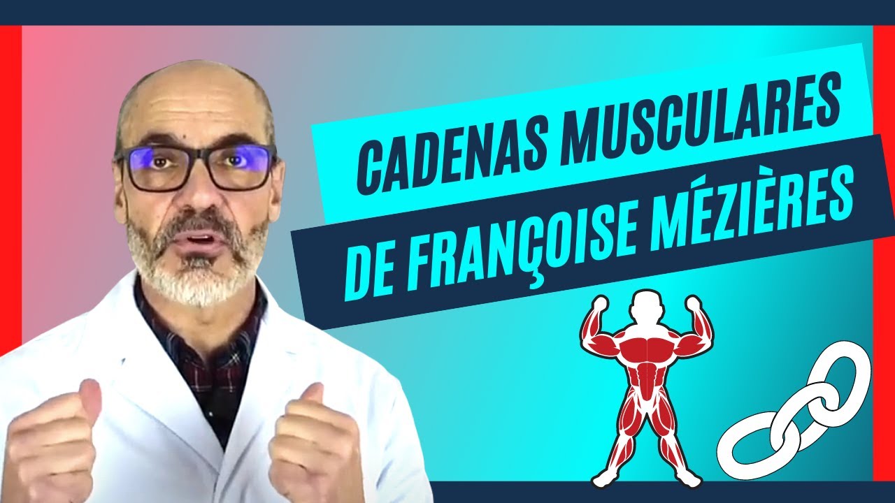Las Cadenas Musculares de Françoise Mézières. ¿Las conoces? ¡Te lo cuento!