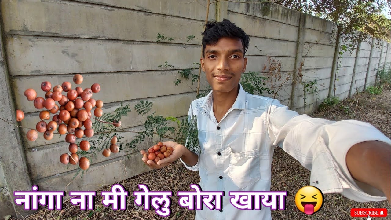 मी बोर खायला कुठे गेलो 🤔 ! Marathi Vlogs. 