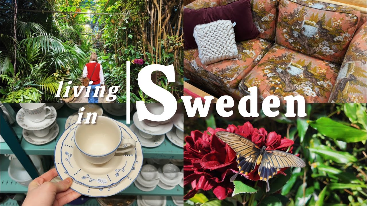  A Piece of Summer in the Middle of Winter 🦋❄️| Living in Sweden 