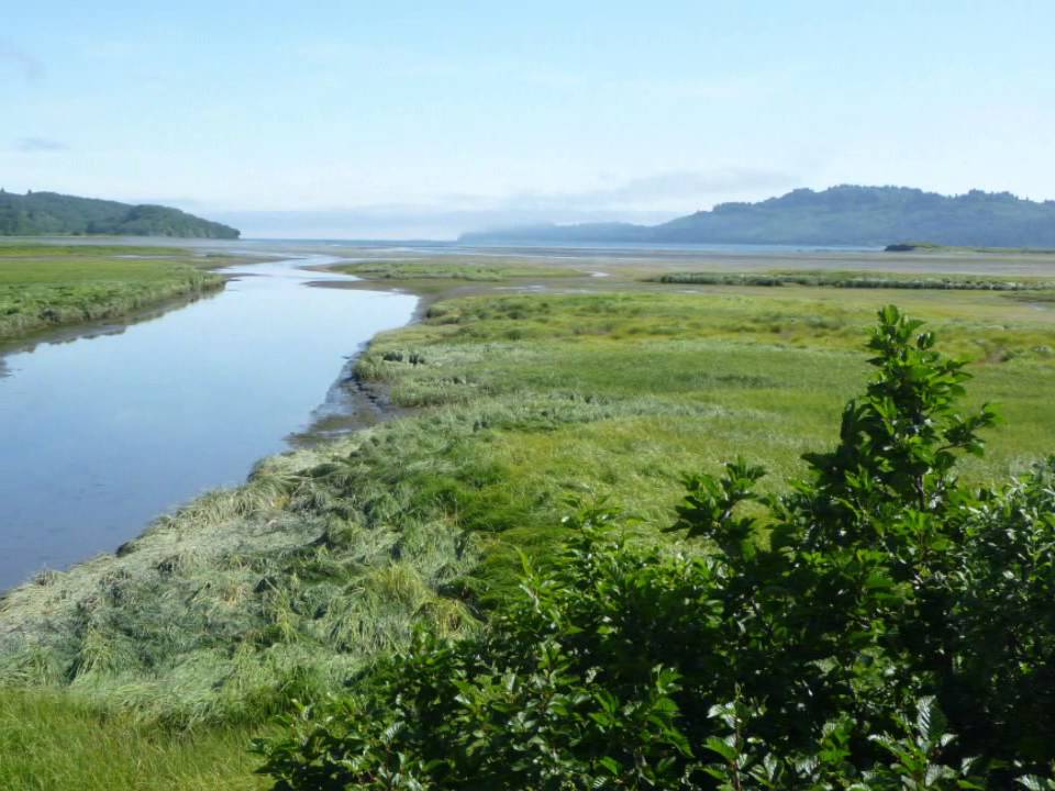 Larsen Bay, Alaska