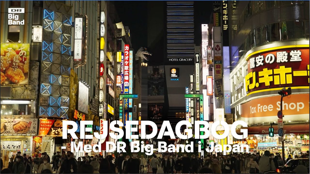 Rejsedagbog fra Japan