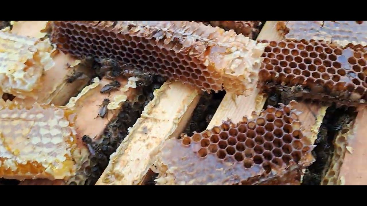 Лень - двигатель прогресса ?!