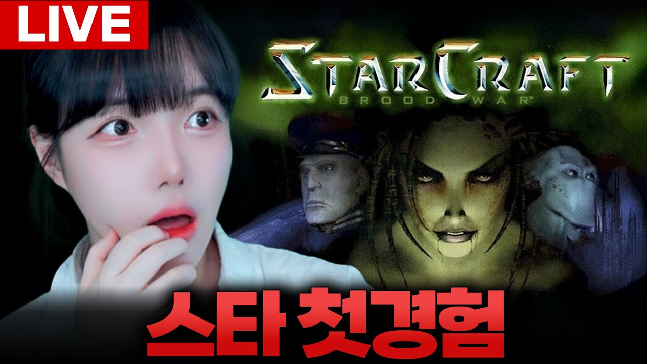 스타크래프트 뉴비 캠페인부터 달립니다 Starcraft [LIVE🔴]