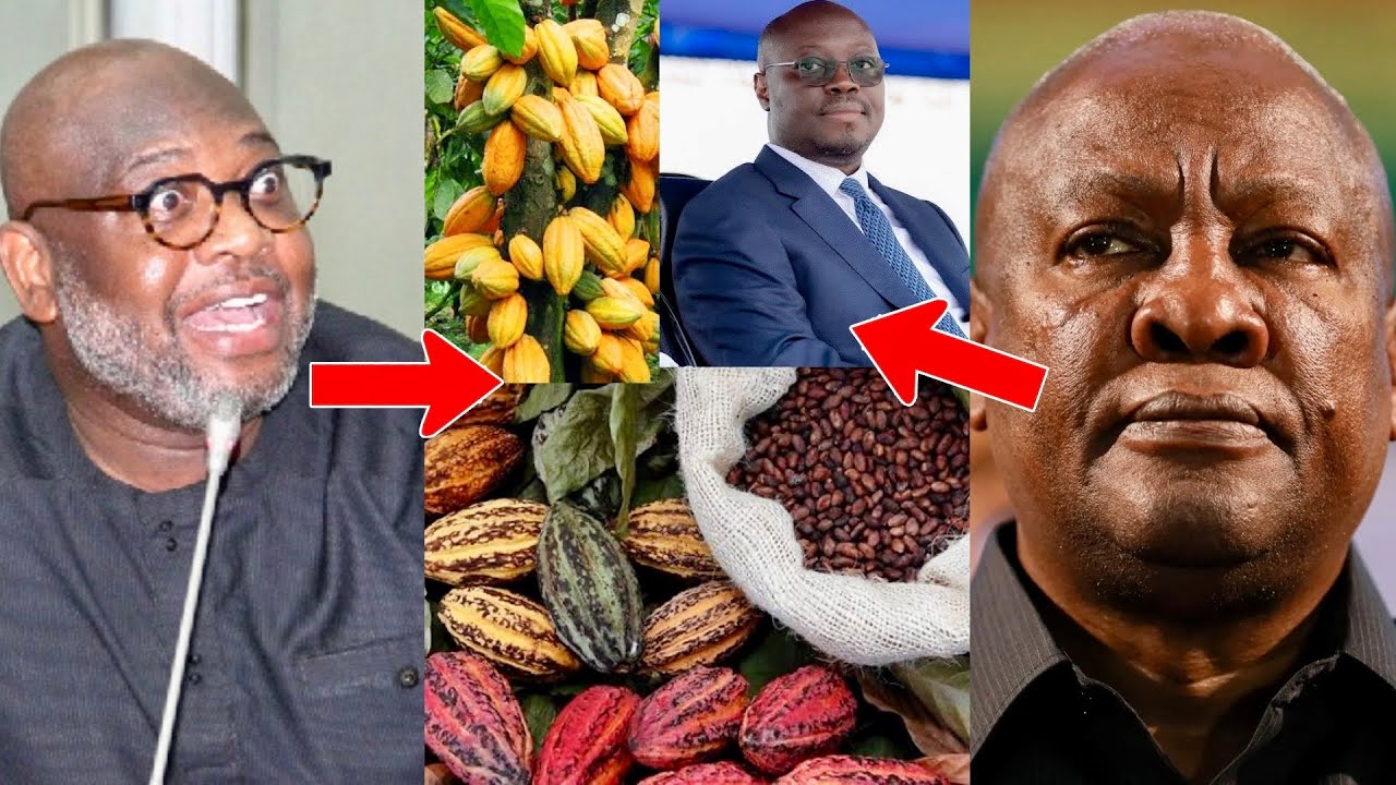 Ato Forson HOT Over Cocoa & COCOBOD Crises, Reveals Cabinet Decisions & Promises Massive Reforms