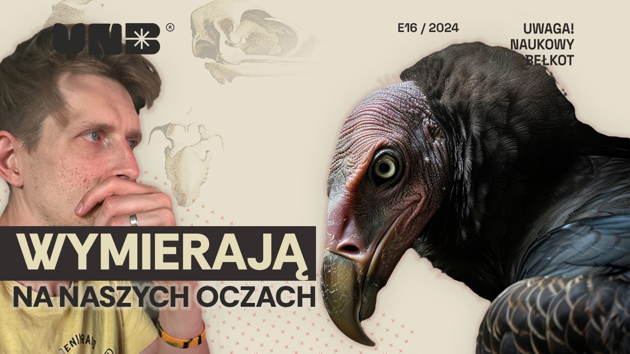 Sępy wymierają na naszych oczach i to poważny problem.