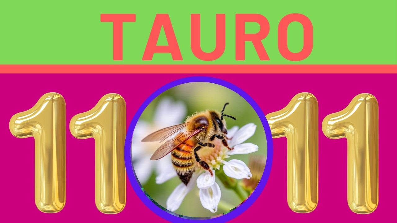 GOLPE DE SUERTE TAURO♉NO LE CUENTES ESTO A NADIE ✅🎁🎉👄🎁 📞🙏HOROSCOPO ❤️ ORACULO TAROT DE CRIS