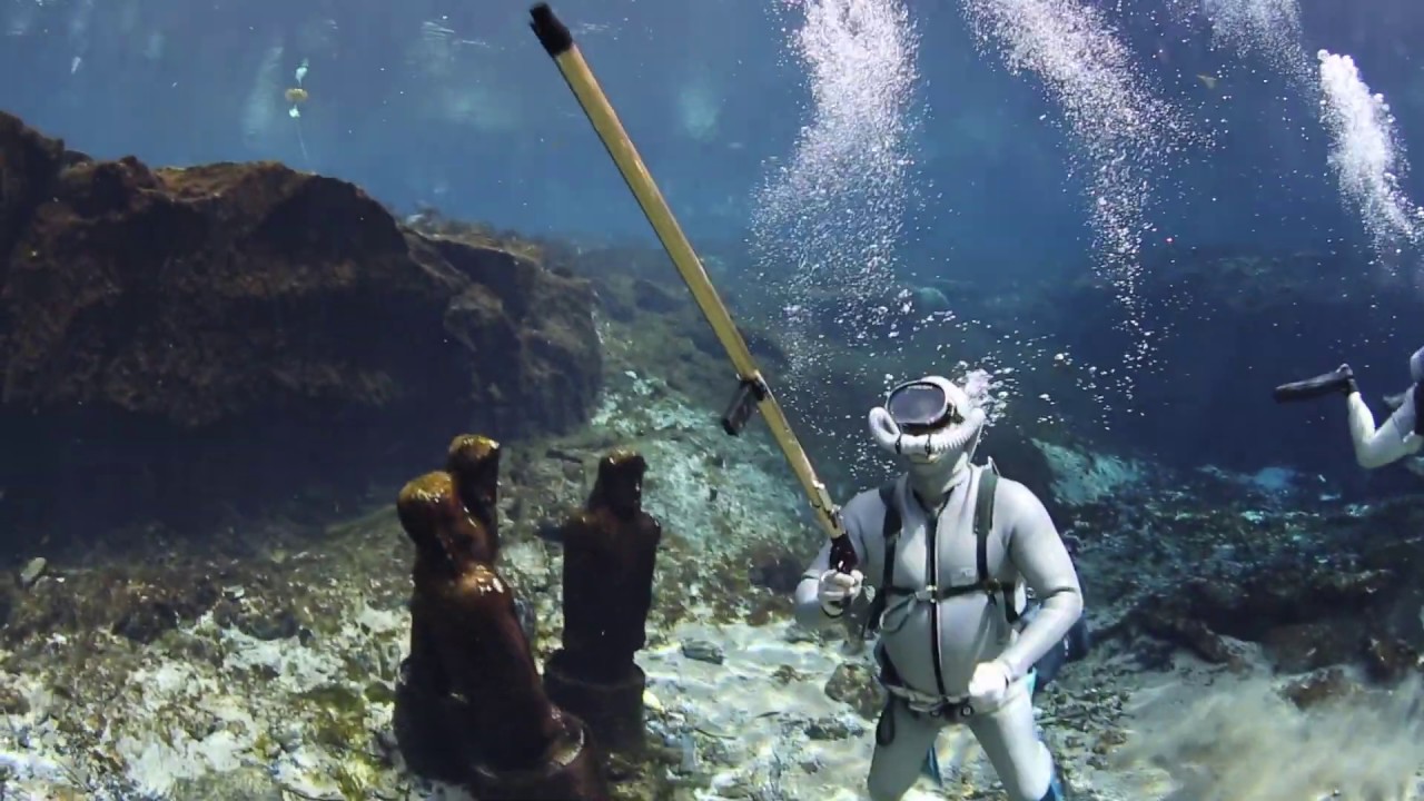 Sea Hunt Forever