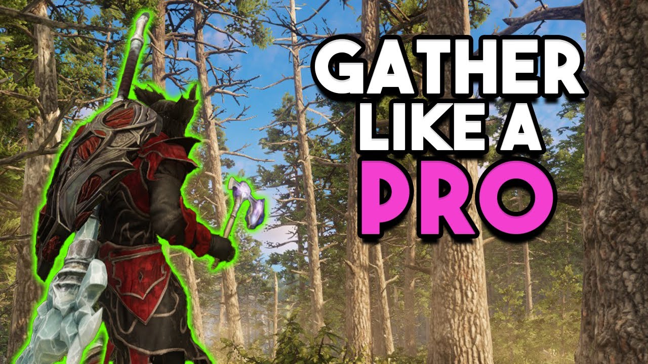 Master Gathering In New World With This Quick Beginners Guide