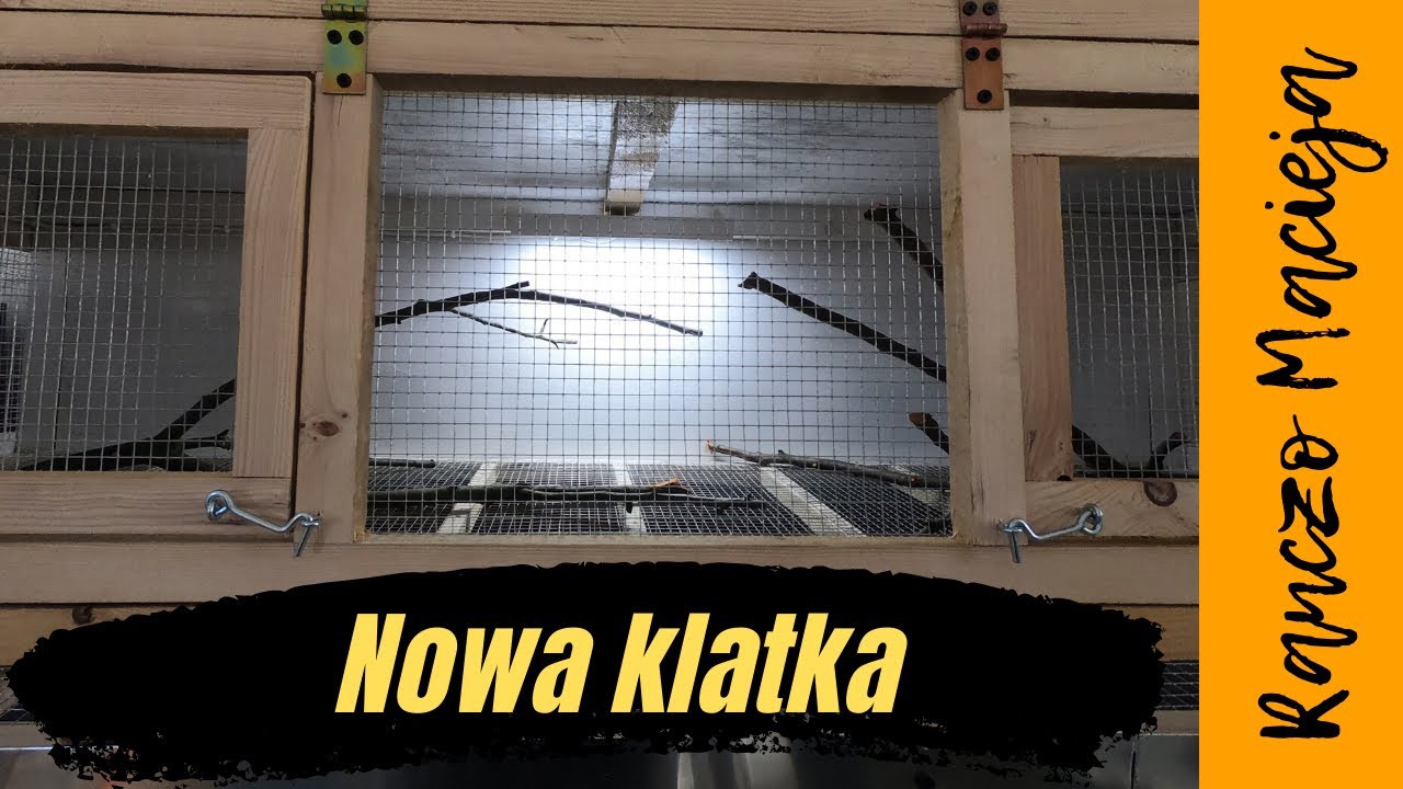 Nowa klatka dla przepiórek #100