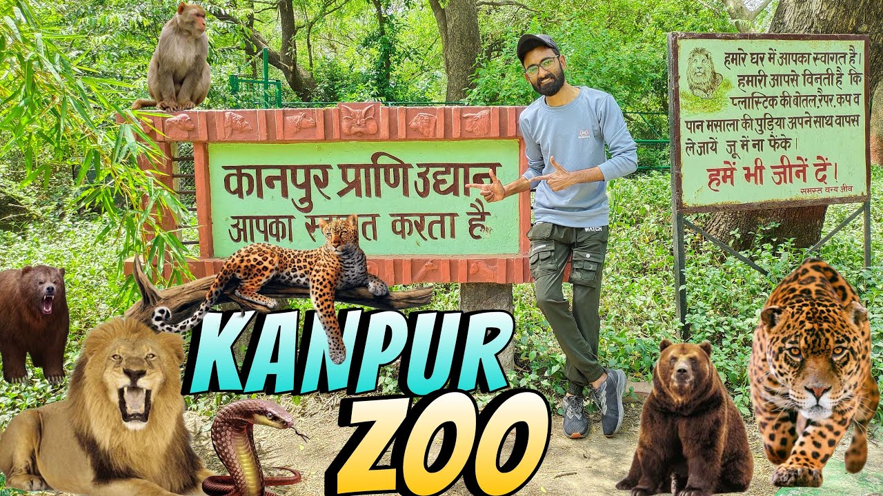 Kanpur Zoo | Adventure Park | Allen Forest | कानपुर चिड़ियाघर | Kanpur Zoological Park #kanpurzoo