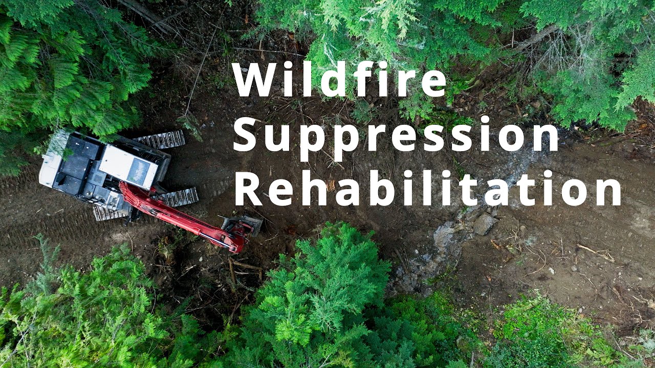 Wildfire Suppression Rehabilitation