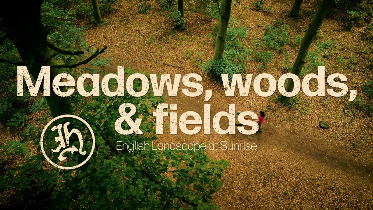 Explore England's hidden Gems | Walk in Swallow Vales Woods | Happy Trundler Walks