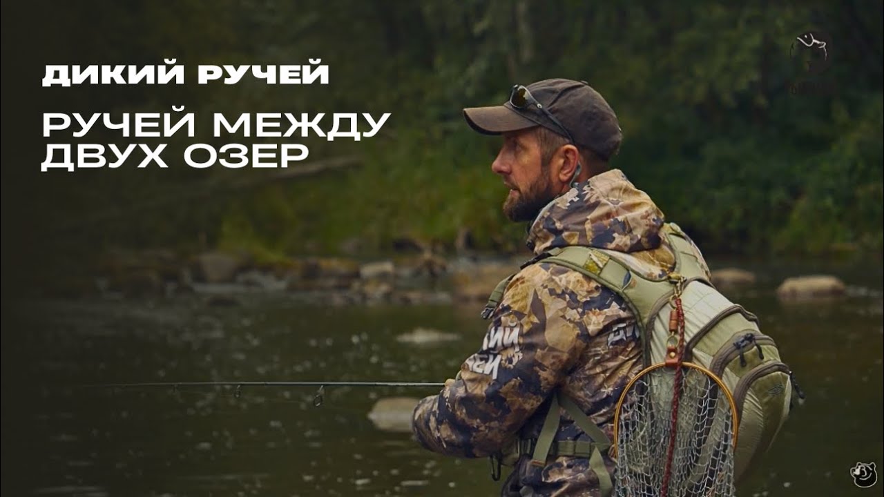 Ручей между двух озер // Дикий ручей