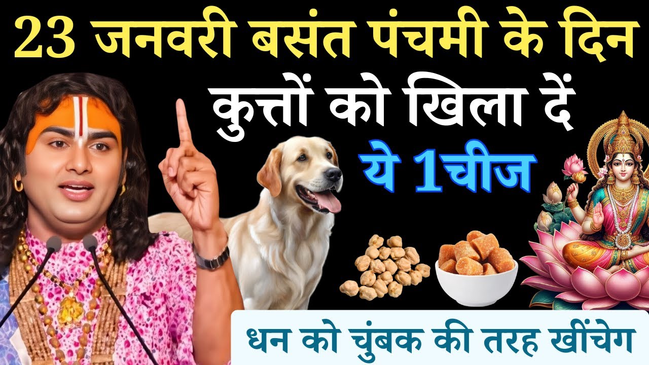 23 जनवरी शुक्रवार बसंत पंचमी के दिन कुत्तों को खिला दे ये 1 चीज | Aniruddhacharya Ji