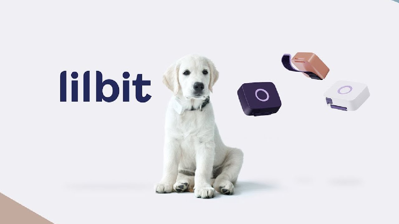 Kampanjevideo for LILBIT AS