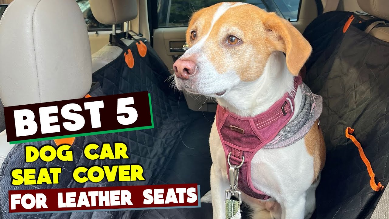 Don't Ditch the Leather! Top Dog Car Seat Covers for Leather Seats (2026)