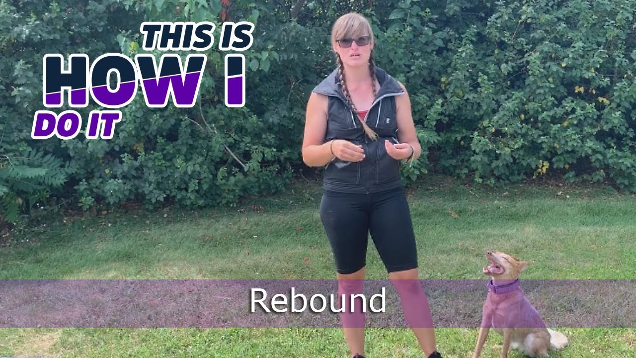 Disc Dog Rebound - Kara Leann