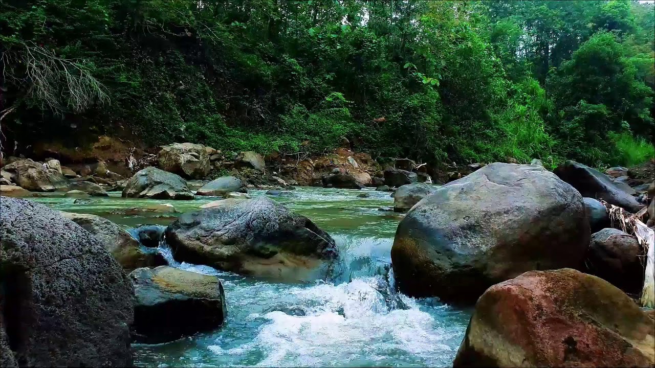 White Noise for Studying Nature – Soft Forest Stream to Improve Concentration