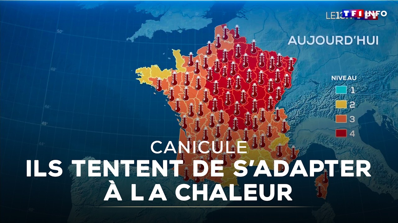 Canicule : ils s'adaptent face &agrave; la chaleur &eacute;crasante｜TF1 INFO