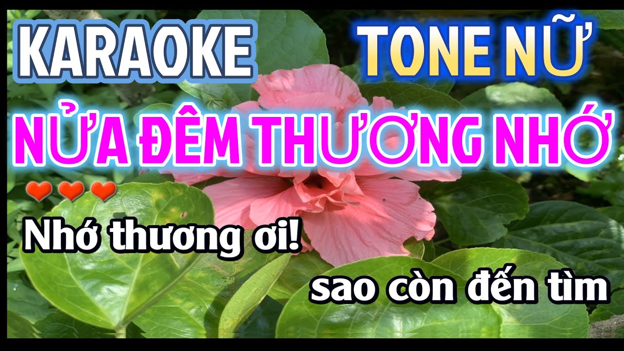 Karaoke Nửa Đêm Thương Nhớ Tone Nữ Nhạc Sống Dễ Hát - Karaoke Nửa Đêm Thương Nhớ Beat Chuẩn Tone Nữ.