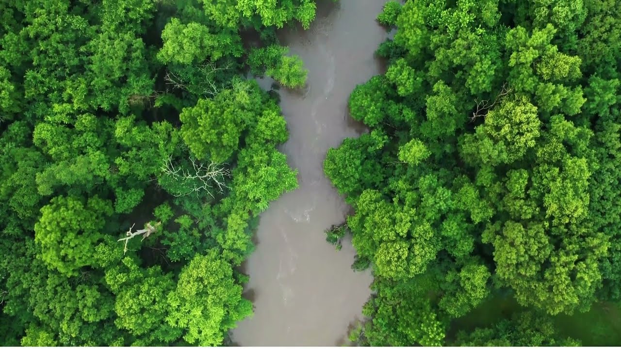 4K Deep sleep calming music: Relaxing Exercise: Stress release Short film: HD Nature videos