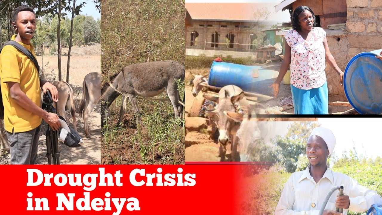 Drought Crisis in Ndeiya, Limuru: Families Struggle as Water Dries Up