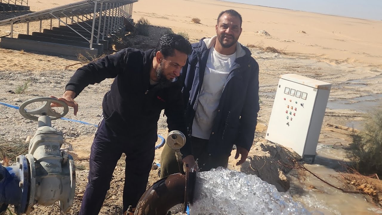 صباح الفل من مزارع مكة – الفرافرة 🌱دردشة صريحة بعد الفجر عن أسباب فشل مشاريع الاستصلاح