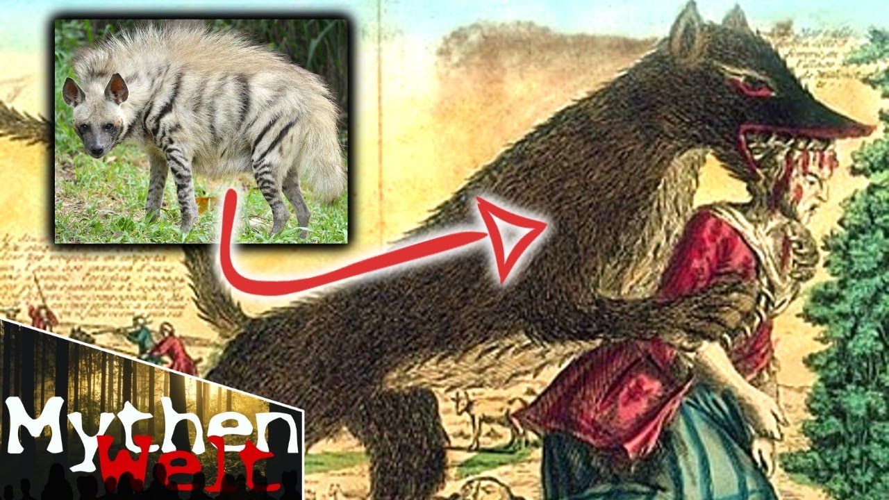Die Bestie des Gévaudan