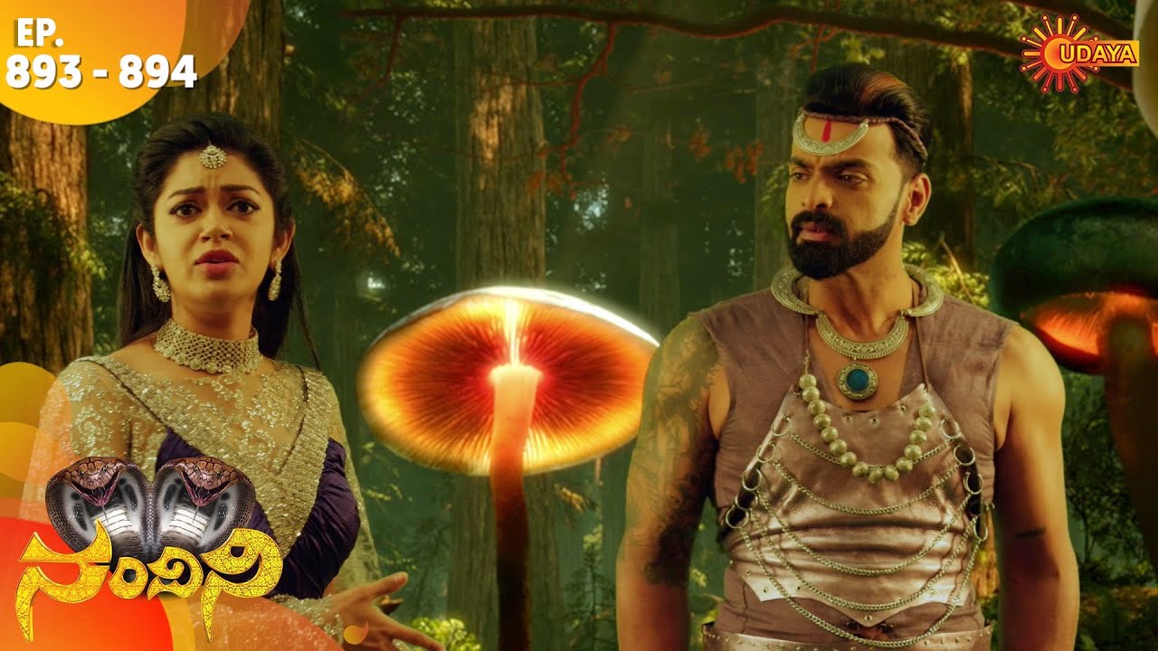 Nandini Maha Sanchike - Episode 893 & 894 | 13th Feb 2020 | Udaya TV Serial | Kannada Serial
