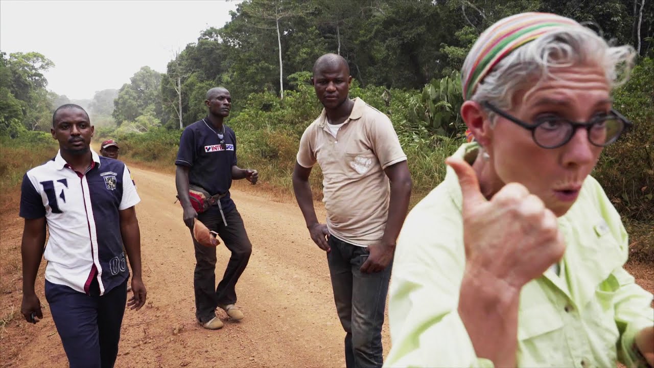 Healing Seekers Expedition Congo:  Jungle Entry