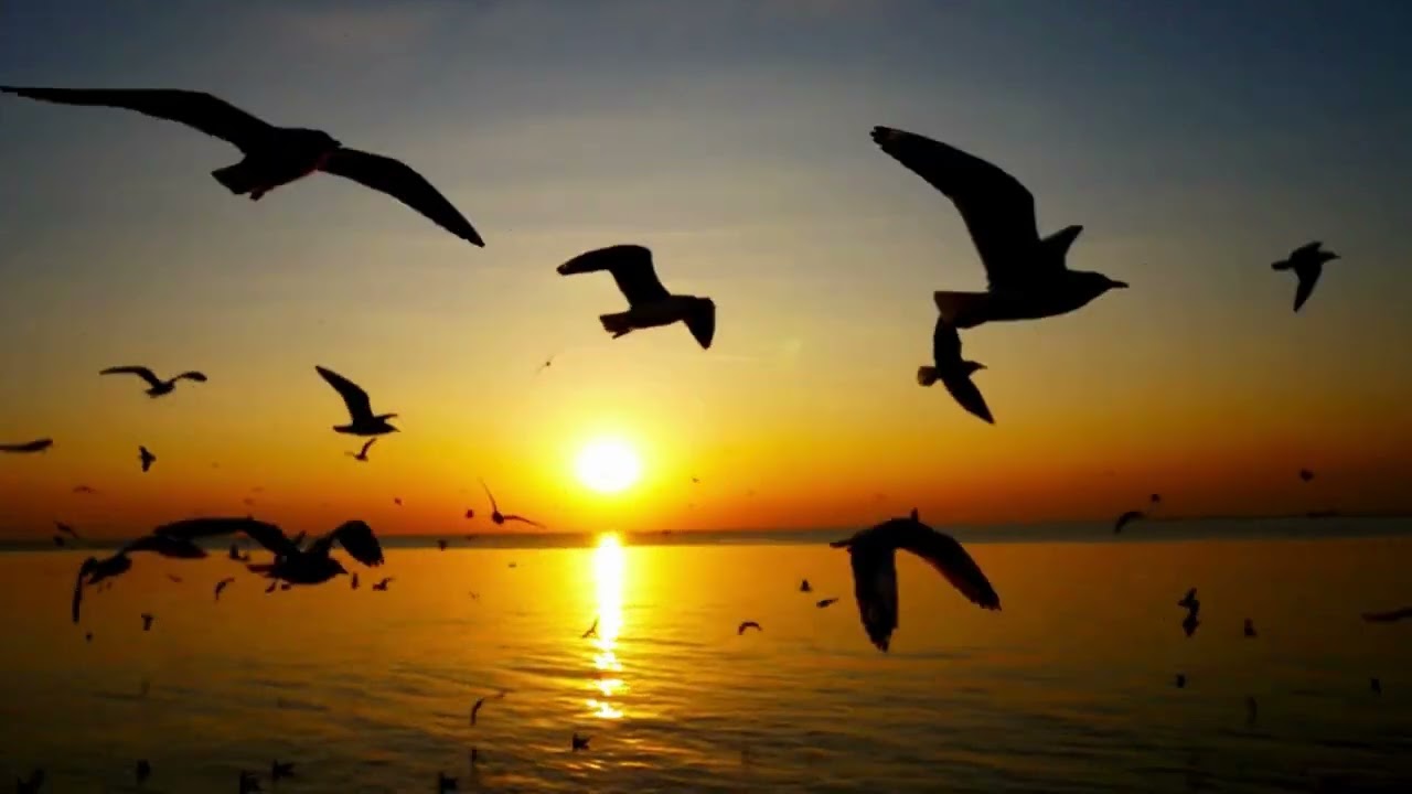 DOVE VIAGGEREMO?