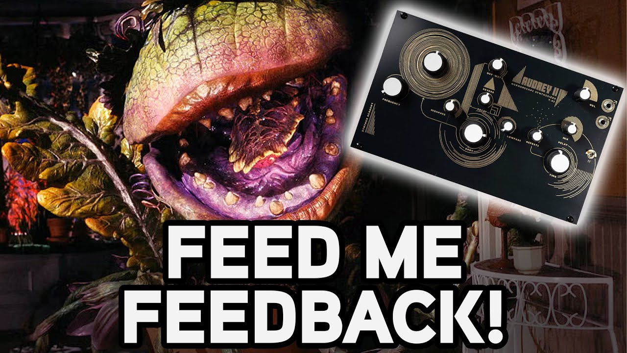 The Audrey II Demands You Feed it Feedback